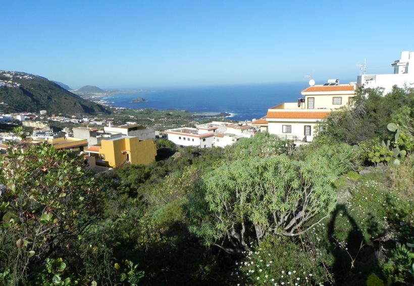 Solar urbano con projecto de dos casas pareadas