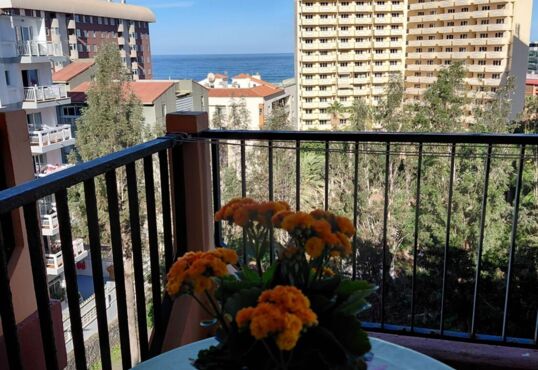 Estudio con vistas en ubicación céntrica