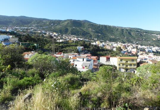 Solar urbano con projecto de dos casas pareadas